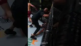 Lila Topuria Vs Alexander Volkanovski