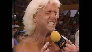Four Horsemen Interview 93'