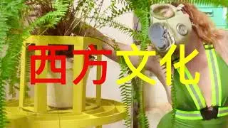 西方文化 WESTERN CULTURE
