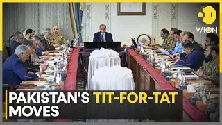 Pakistan Calls India's Action 'Unilateral And Unjust' | WION | World News