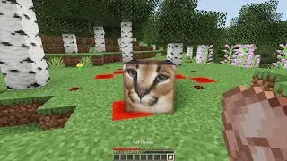 i meet perfect BIG floppa in minecraft