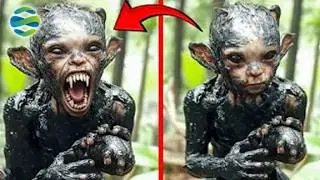REKAMAN VIDEO MENGERIKAN!!! Inilah 32 Penampakan Makhluk Aneh Dan Misterius yang Terekam Kamera!!!