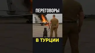 Новости сегодня: переговоры в Стамбуле