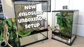 HUGE CRESTED GECKO ENCLOSURE UPGRADE🦎💚