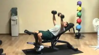 Olympic Leverage Flat Incline Decline Bench from Rehabmart.com