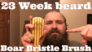 23 Week Beard | Grave Before Shave Boar bristle brush