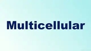Multicellular Definition and Examples