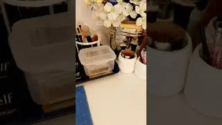 Dollar Tree Makeup Organization & Storage | #shorts