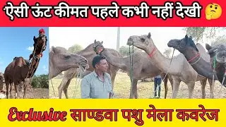 ऐसी ऊंट कीमत पहले कभी नहीं देखी – Exclusive #साण्डवा_पशु मेला कवरेज #sandwamela2025 #camelfair 