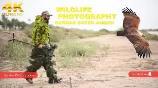 Wildlife Photography | Birds Photography With Sardar Saeed Ahmed | Nature Photography