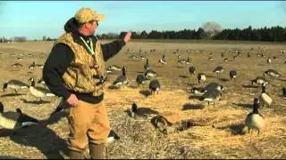 Perfect Goose Decoy Spread: Wayne Radcliff, Waterfowl Guide