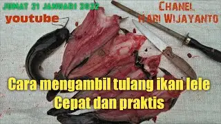 Cara mengambil tulang ikan lele/fillet , , , Cepat dan Praktis