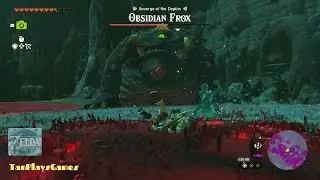 All Obsidian Frox Location : Zelda Tears of The Kingdom.