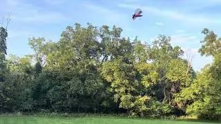 Rogallo RC Kite 2cell LiPo