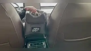 Portable Pet Dog Car Seat