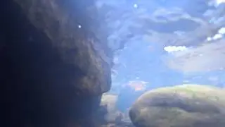 Sony HDR underwater view
