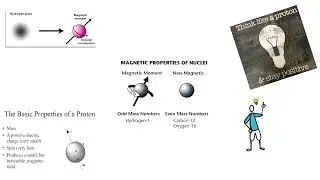 Magnetic Moment - MRI - 5 (B)