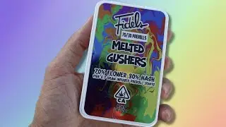 ОБЗОР ПРЕРОЛЛОВ FIDELS 70/30