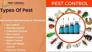 Pest Control Cleveland