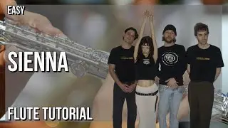 How to play Sienna by The Marias on Flute (Tutorial)