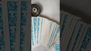 🥀free🪄 tarot session join now 🪬subscribe like, share the channel