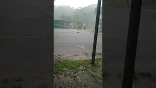 I forgot my umbrella