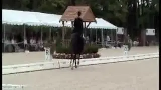 Leslie Morse on Tip Top 962 at Collecting Gaits USEF National Championshios.m4v