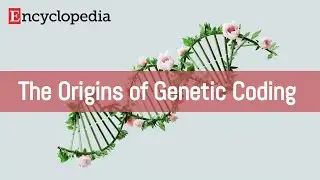 【Entropy】The Origins of Genetic Coding