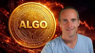 Why I’d Never Buy Algorand
