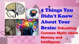 5 Things You Didn't Know About Your Brain: Debunking Common Myths about Memory and Intelligence