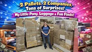 2 Pallets, 2 Companies, Tons of Surprises! My Little Pony, Luggage & Fun Finds!