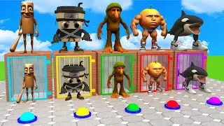 Long Slide Game With Cow Elephant Gorilla Hippopotamus Tiger 3d Animal Game Funny 3d Animals