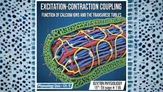 Cardiac Muscle Contraction Essentials Quiz base video-3