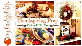 Thanksgiving Prep / Grocery Haul / Turkey DITL Vlog