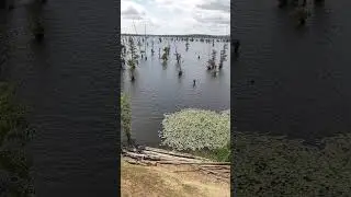Lake Conway/Arkansas/One of my most favorite sounds/peaceful/