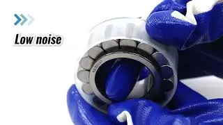 RSL183008 Single Row Full Complement Cylindrical Roller Bearing 40x61.74x21mm
