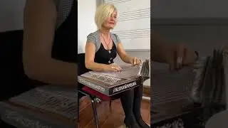Hicaz Peşrev-Neyzen Salim Bey (1hane+Teslim)