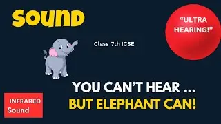 Sound 7th class 🐘 | ICSE Class 7 Physics Sound#exampreparation #icseclass7 #inaudible#audible