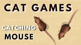 👉 ИГРЫ ДЛЯ КОШЕК - Ловля мышей - [ Видео для кошек ]🐀