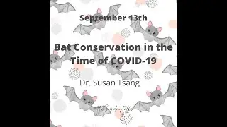 Bats: Keystone taxa to restoring forests and preventing the next pandemic - Dr. Susan M. Tsang