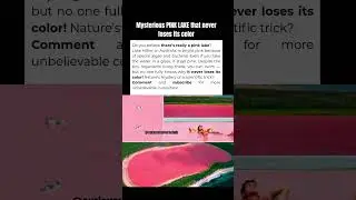 Mysterious lake with PINK water! #shortvideo #shorts #cute #cutebaby #curiosity #impossible #real