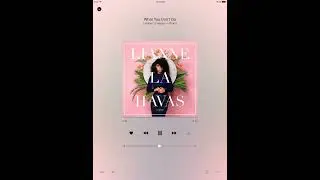iPad mini 2 Chinese iOS 9 DemoLoop