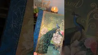 My Journal Book Collection #writingjournal #journel #journelbooks #writing #journalshorts