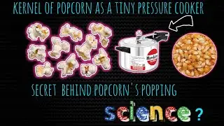 Popcorn's popping: A Mini and Delicious Explosion in Your Microwave Oven