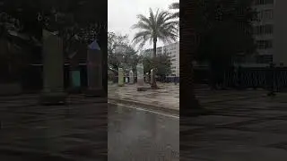 Big Crystal statues Standing next beautiful palm trees