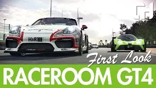 RaceRoom GT4 Cars First Look [R3E]