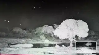 Strange Lights