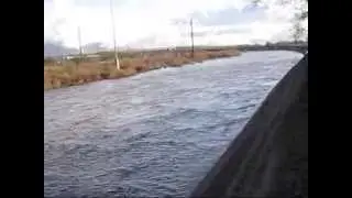 Rillito River