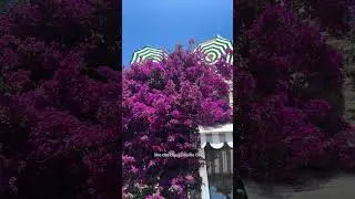 Must-See in Capri!