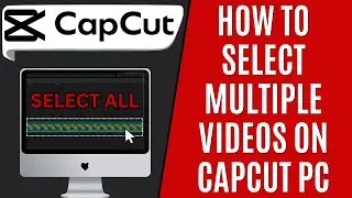 How to Select Multiple Videos on CapCut PC [Quick Guide]